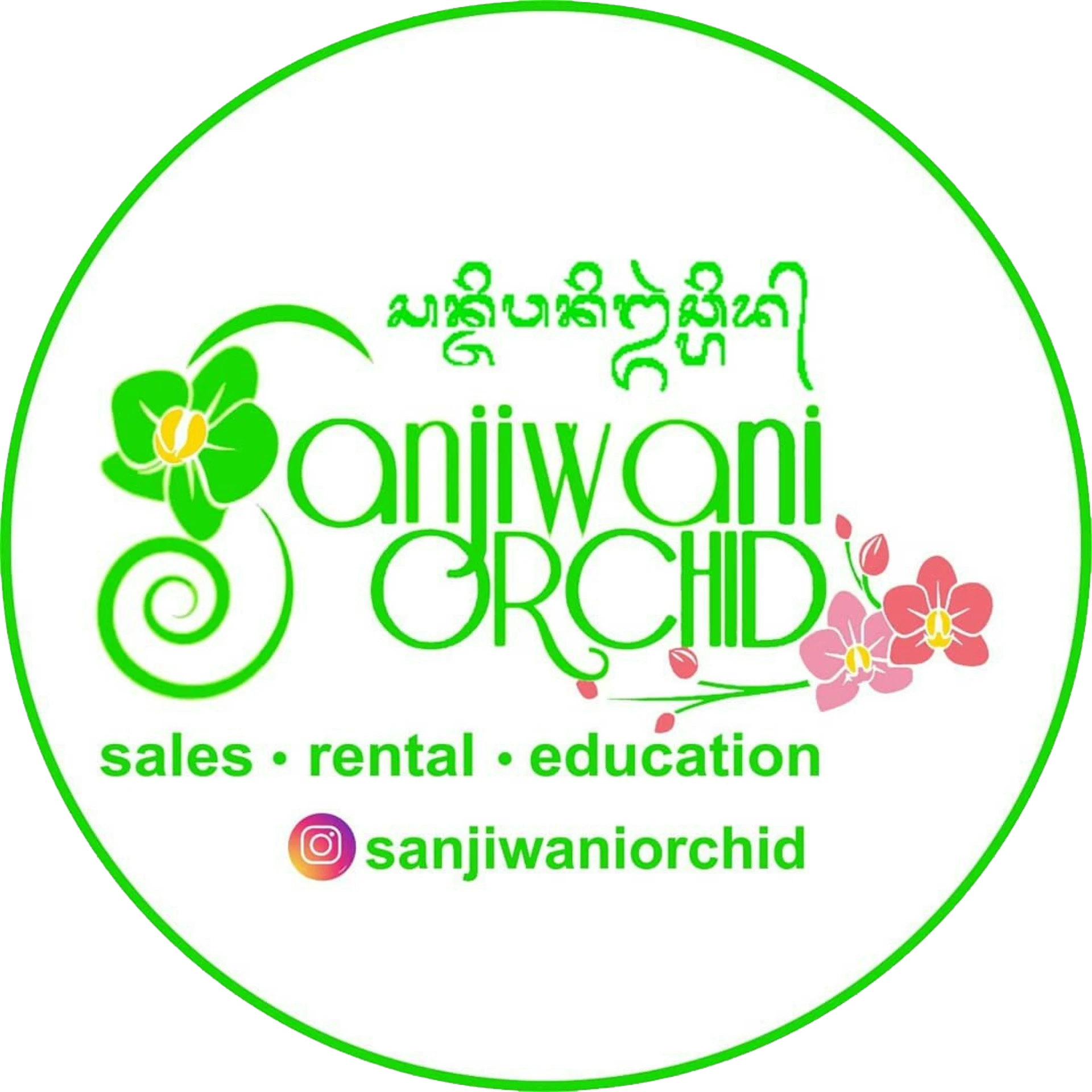 Sanjiwani Orchid